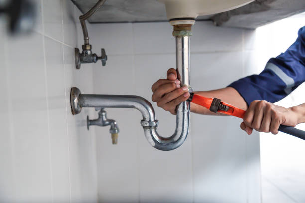 Best Commercial Plumbing Services  in Hebbronville, TX