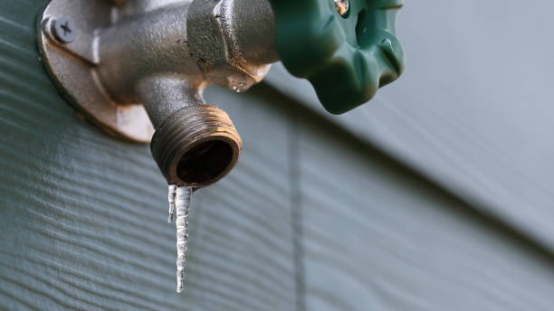 Best Affordable Plumbing Services  in Hebbronville, TX